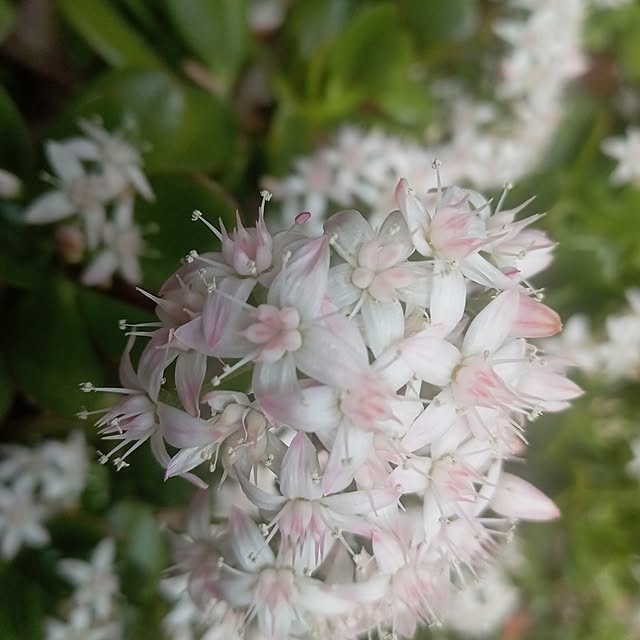 kinmochi0701さんの実例写真
