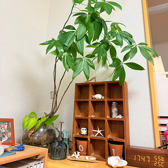 HIEさんの実例写真