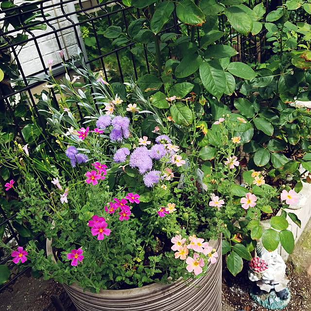 mimi828さんの実例写真