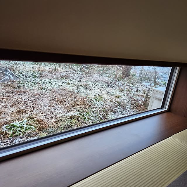 shimaaadsさんの実例写真