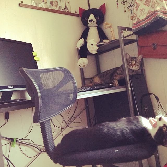 A-rinさんの実例写真