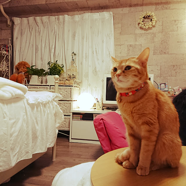 asuminさんの実例写真