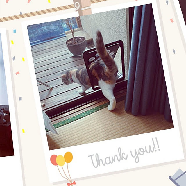 fukuさんの実例写真
