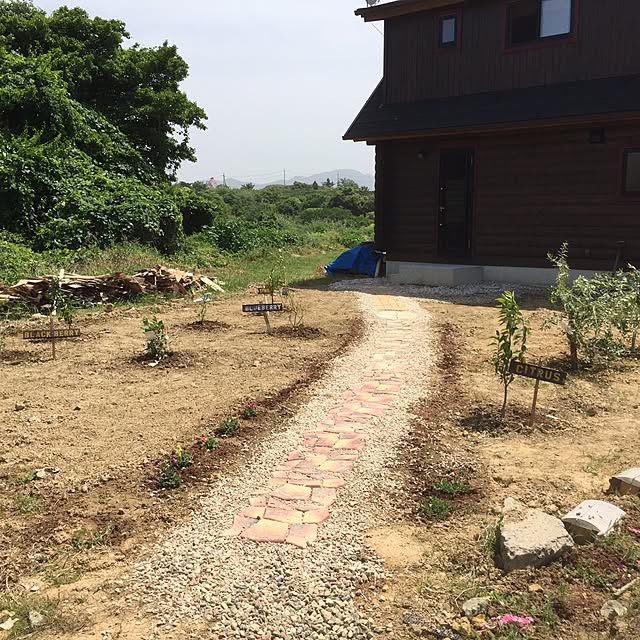 n_iwataaquaさんの実例写真