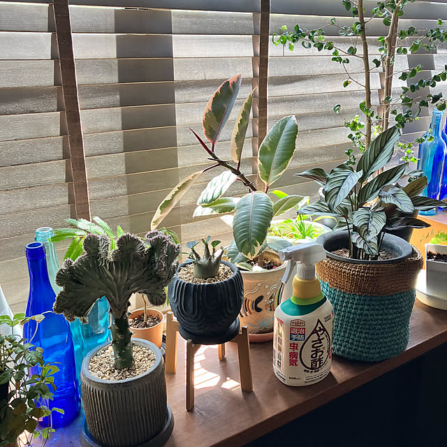 kan2さんの実例写真