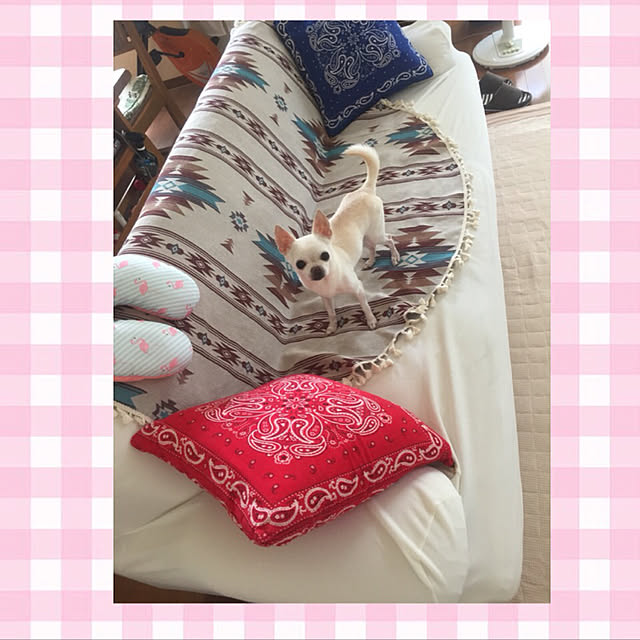 kaochanさんの実例写真