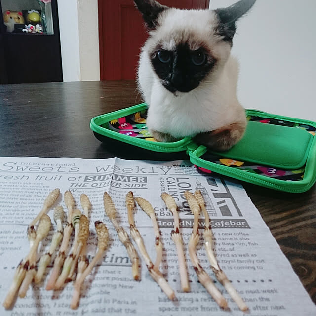 MIHさんの実例写真