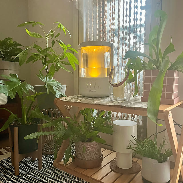 ha_ru76さんの実例写真