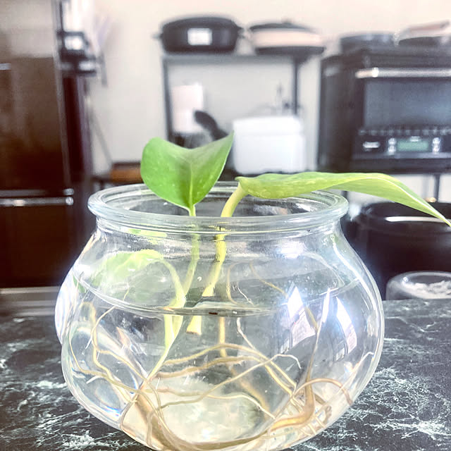 MOMOMAMAさんの部屋