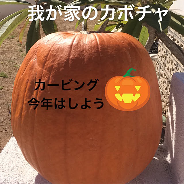 mentaikopastaさんの実例写真