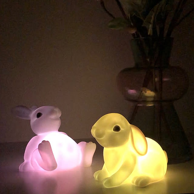 pippinさんの実例写真