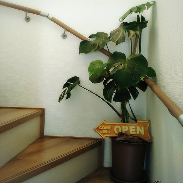 koto.ohanaさんの実例写真
