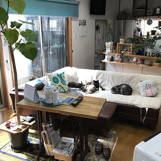 daikichiさんの実例写真