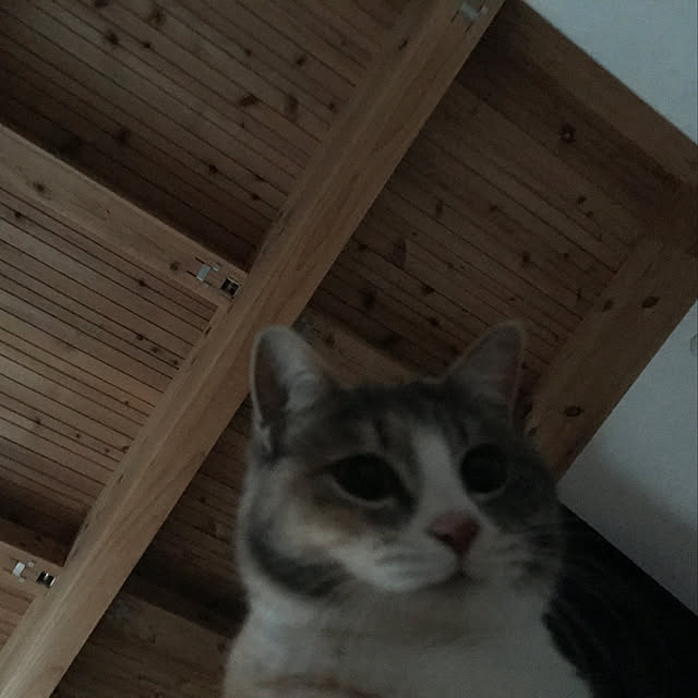 sakurasakuさんの実例写真