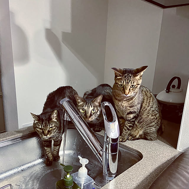 kouさんの実例写真