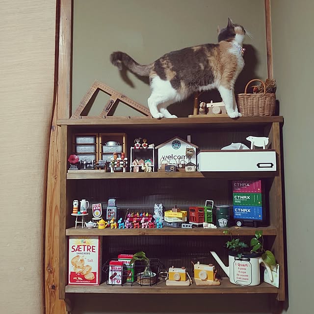 fukuさんの実例写真