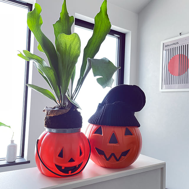 odecoさんの実例写真