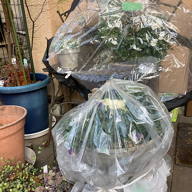 amiromikaさんの部屋