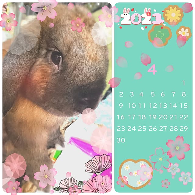 mariaさんの実例写真
