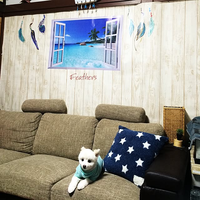 mikiさんの実例写真