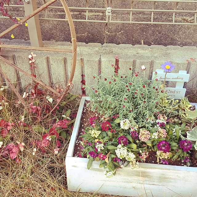 qururiさんの実例写真