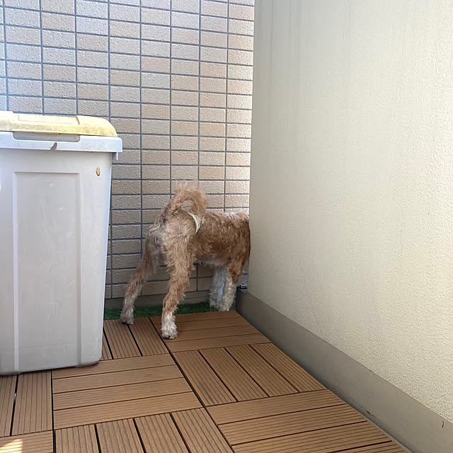 marukoさんの部屋