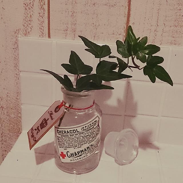 dangorottiさんの実例写真