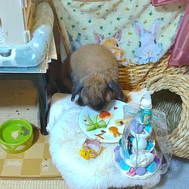 mariaさんの部屋