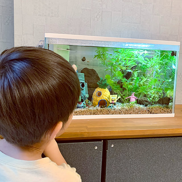 Minteaさんの部屋