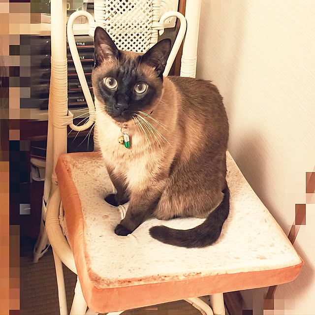 dodoさんの実例写真