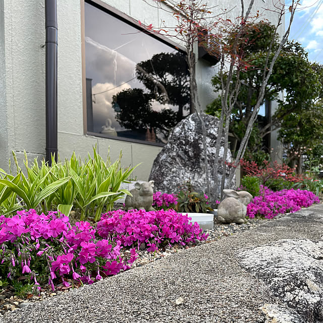 shin0719さんの部屋