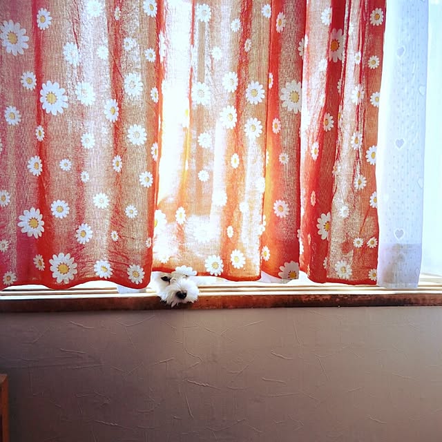 kaiさんの実例写真