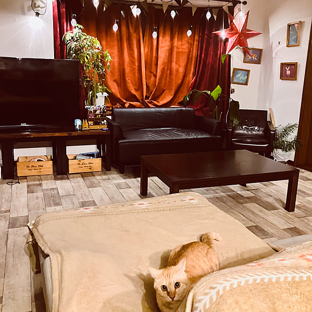 tomorinさんの部屋