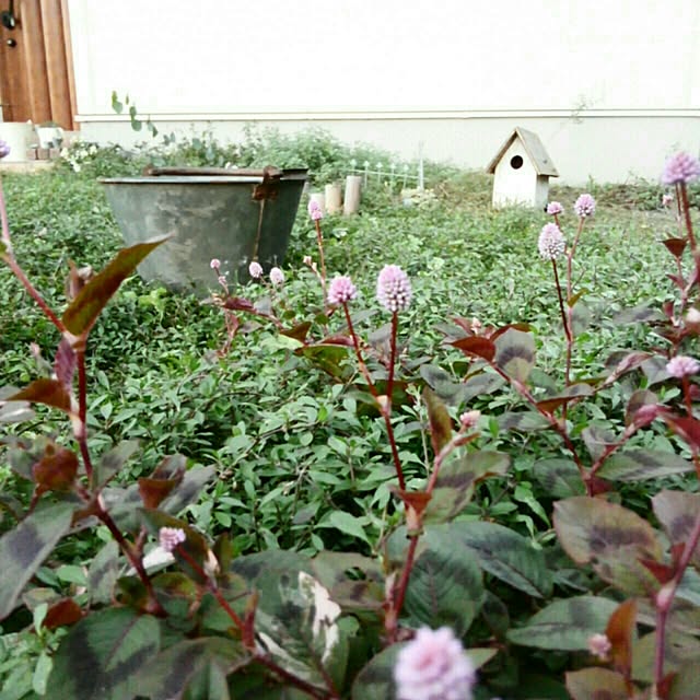 mayutan.さんの実例写真