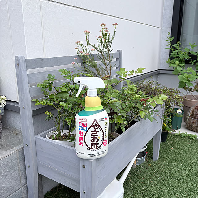 chipsさんの実例写真