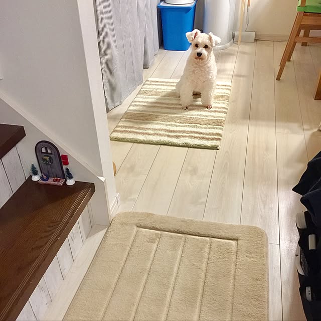 suzyさんの実例写真