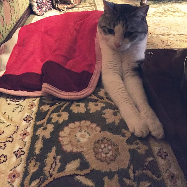 emmyyさんの実例写真