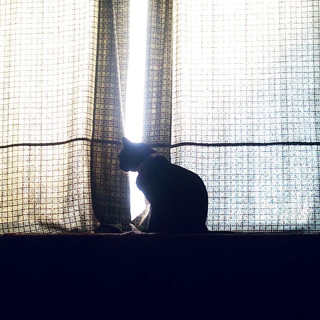 ku-さんの実例写真