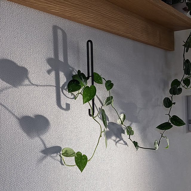 ayamameさんの実例写真