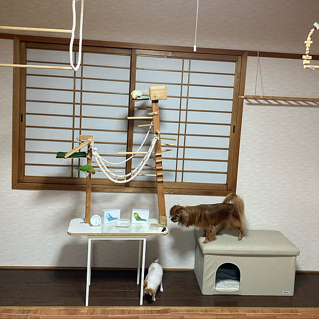 toratanさんの実例写真
