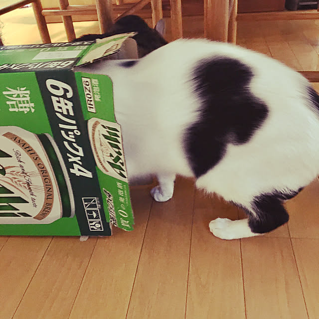 nobikoさんの実例写真