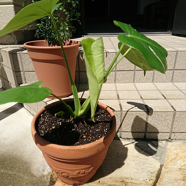 Kさんの実例写真