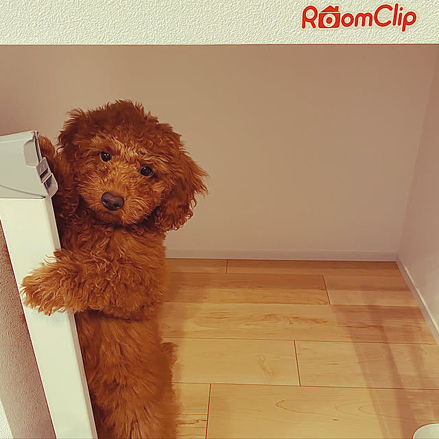 ron-anさんの実例写真