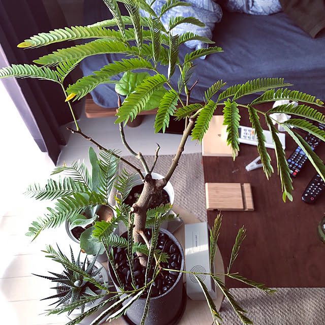 kidd17_83さんの実例写真