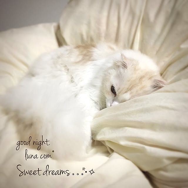 luna.comさんの実例写真