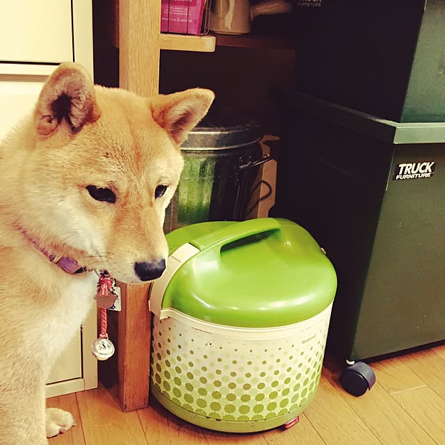 botannさんの実例写真