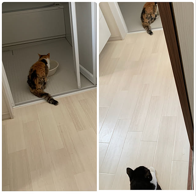 mikeume7さんの実例写真