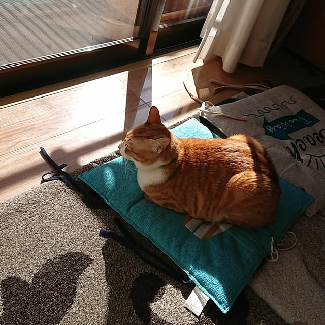 akiさんの実例写真