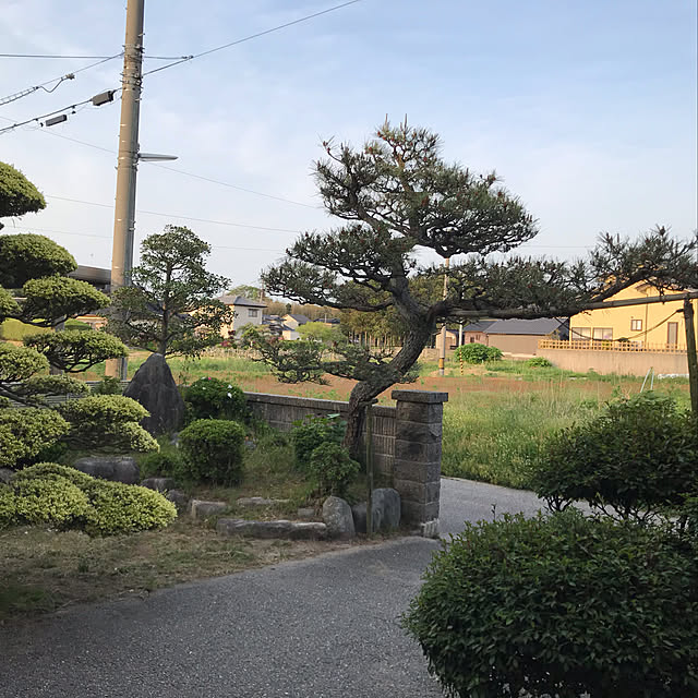 hamayo.さんの実例写真