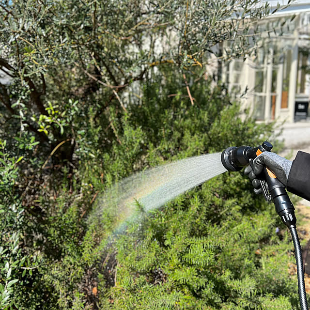 Royal_Gardeners_Clubさんの部屋